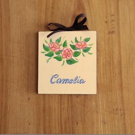 La Dogana Di Charme - Historic With A Beautiful Garden - Private Parking Panzió 2*