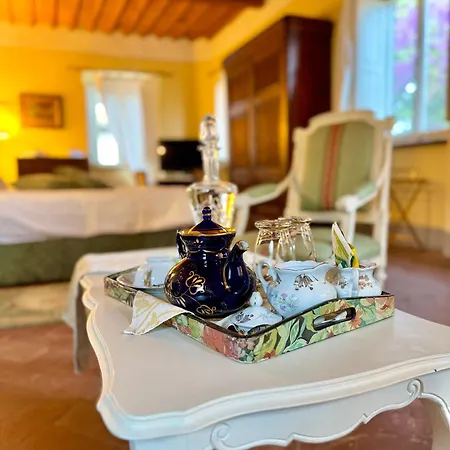 La Dogana Di Charme - Historic With A Beautiful Garden - Private Parking Oda ve Kahvaltı 4*