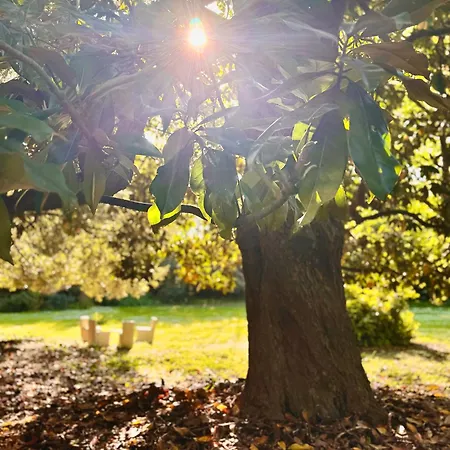 La Dogana Di Charme - Historic With A Beautiful Garden - Private Parking Panzió Lucca