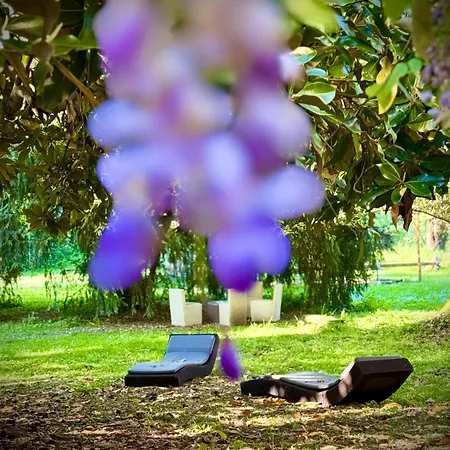 La Dogana Di Charme - Historic With A Beautiful Garden - Private Parking