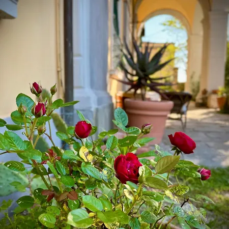 La Dogana Di Charme - Historic With A Beautiful Garden 2*