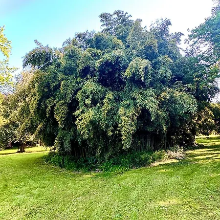 La Dogana Di Charme - Historic With A Beautiful Garden 2* Lucca