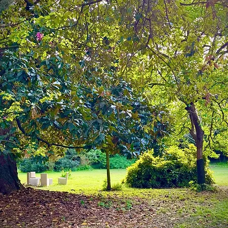 La Dogana Di Charme - Historic With A Beautiful Garden - Private Parking Lucca
