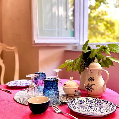 La Dogana Di Charme - Historic With A Beautiful Garden - Private Parking Oda ve Kahvaltı Lucca