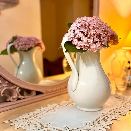 La Dogana Di Charme - Historic With A Beautiful Garden - Private Parking 2*