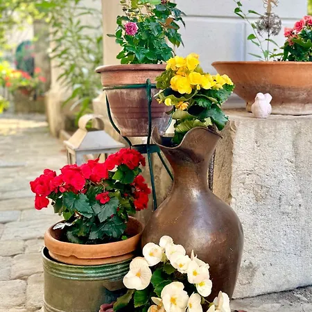 La Dogana Di Charme - Historic With A Beautiful Garden - Private Parking Bed & Breakfast