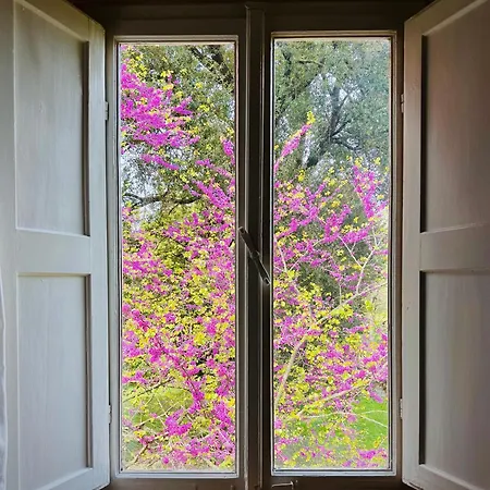 La Dogana Di Charme - Historic With A Beautiful Garden - Private Parking Bed & Breakfast 2*