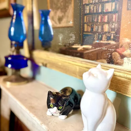 La Dogana Di Charme - Historic With A Beautiful Garden - Private Parking Oda ve Kahvaltı