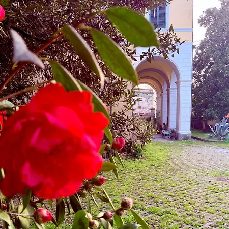 Bed & Breakfast La Dogana Di Charme - Historic With A Beautiful Garden - Private Parking Lucca