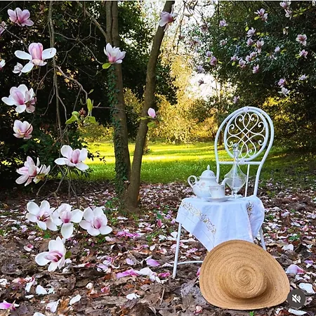 Bed & Breakfast La Dogana Di Charme - Historic With A Beautiful Garden - Private Parking Lucca