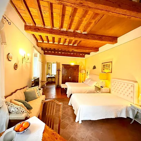 La Dogana Di Charme - Historic With A Beautiful Garden - Private Parking Bed & Breakfast Lucca