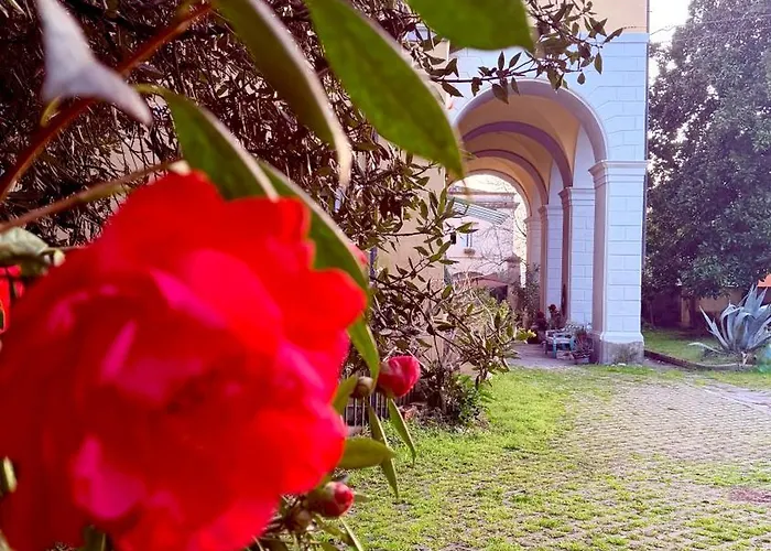 Bed & Breakfast La Dogana Di Charme - Historic With A Beautiful Garden - Private Parking Lucca